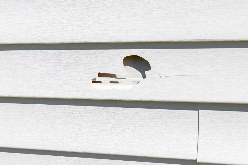 Vinyl Siding Repair - Assessment